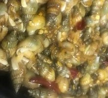 Sea Snail