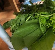 Mixed Greens Platter
