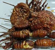 Roasted Cicada Larvae