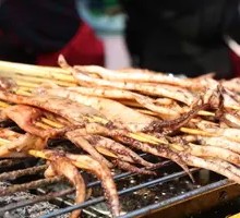 Squid