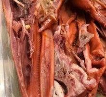 Duck Head