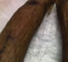 Lidous Red Sausage