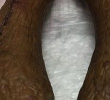 Lidous Red Sausage