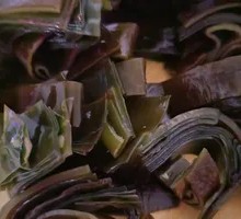 Kelp