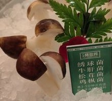 Chicken Mushroom