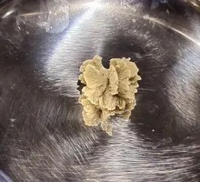 Wasabi
