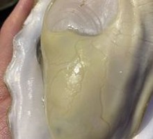 Oyster