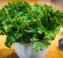 Green Mix