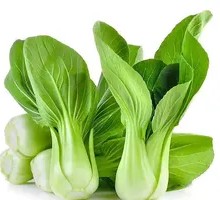 Chinese cabbage