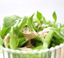 Ice Plant Salad