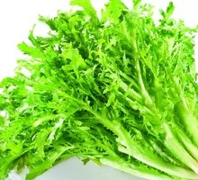 Endive
