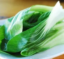 Oilseed lettuce