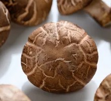 Shiitake Mushroom