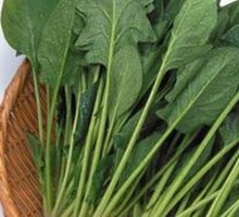 Spinach
