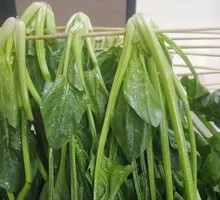 Spinach