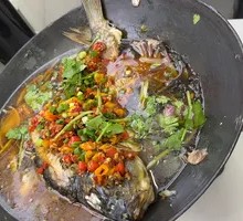 Hanging Pot Fish