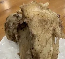 Beef Bone Stick