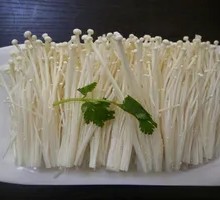 Enoki Mushroom