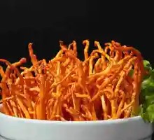 Fresh Cordyceps Flower
