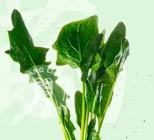 Spinach
