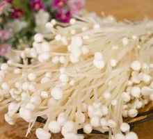 Enoki Mushroom