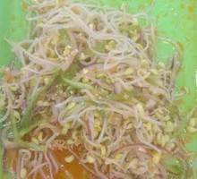Green Pepper and Bean Sprouts