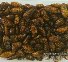 Crispy Silkworm Pupae