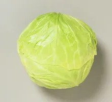 Turnip
