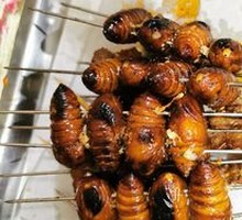 Roasted Silkworm Pupa