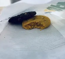 Monochrome Chocolate Cookie