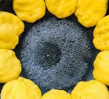 Cornmeal Pancake