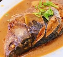 Crucian Carp