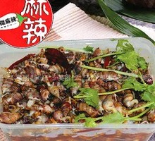 Spicy Snail