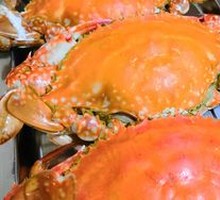 Flying Crab