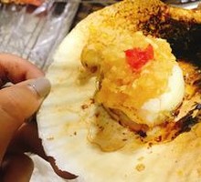 Scallop