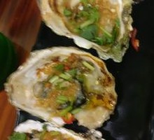 Oyster Set