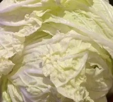 Chinese cabbage