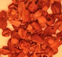Chicken Tripe