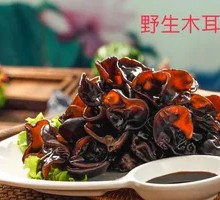 Wild Black Fungus