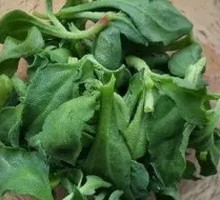 Mixed Salad