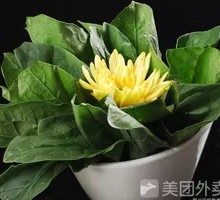Spinach