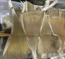 Fresh Mushrooms