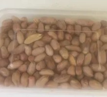 Salted Roasted Peanuts
