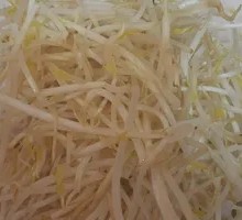 Bean sprouts