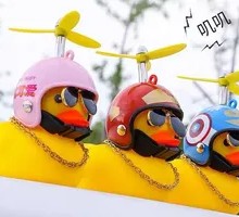 Limited Edition Breaking Wind Duck