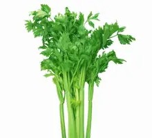 Two-Yuan Celery