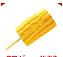 Corn Doughnut