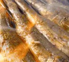 Zhoushan Yellow Croaker