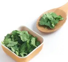 Cilantro