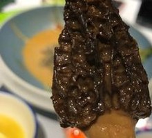 Wild Morel Mushroom